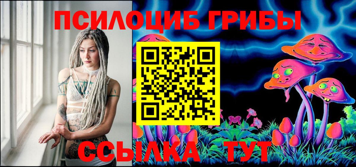 Белая Калитва  Псилоцибиновые грибы Psilocybine cubensis  Вход с VPN  Псилоцибиновые грибы MAGIC MUSHROOMS 
