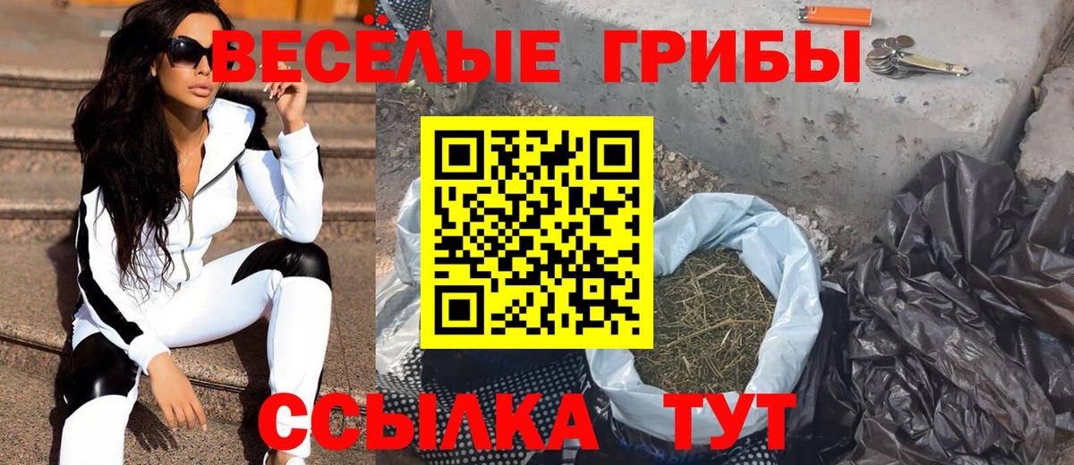 Псилоцибиновые грибы прущие грибы Белая Калитва
